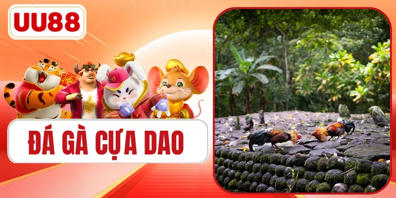 Đá Gà Cựa Dao Bùng Nổ 500+ Trận Đấu Mãn Nhãn Mới Nhất